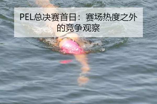 PEL总决赛首日：赛场热度之外的竞争观察（c7）